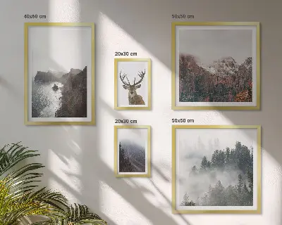 Conjunto de cuadros decorativos con paisajes de vida silvestre