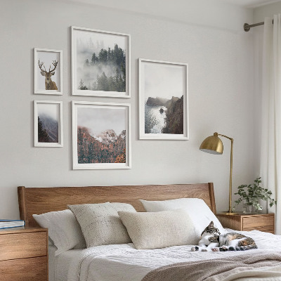 Conjunto de cuadros decorativos paisajes de vida silvestre