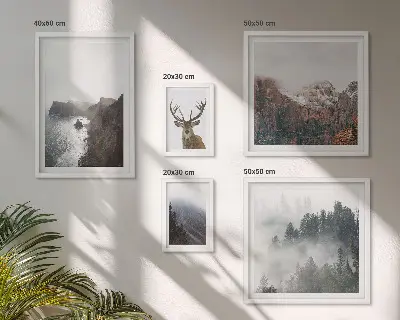 Conjunto de cuadros decorativos con paisajes de vida silvestre