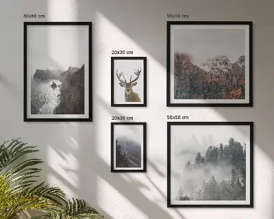 Conjunto de cuadros decorativos con paisajes de vida silvestre