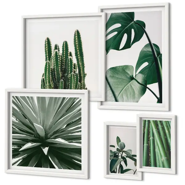 Conjunto de cuadros decorativos de plantas tropicales verdes para interior