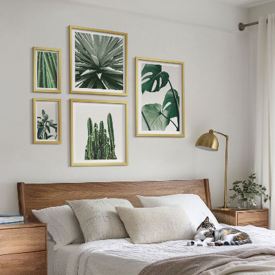 Conjunto de cuadros decorativos plantas tropicales verdes de interior