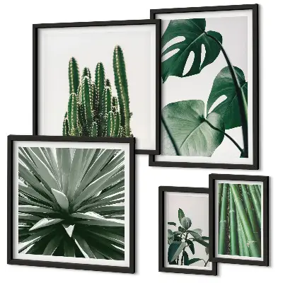 Conjunto de cuadros decorativos de plantas tropicales verdes para interior