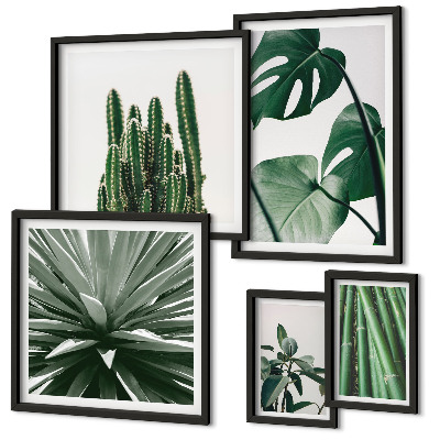 Conjunto de cuadros decorativos plantas tropicales verdes de interior