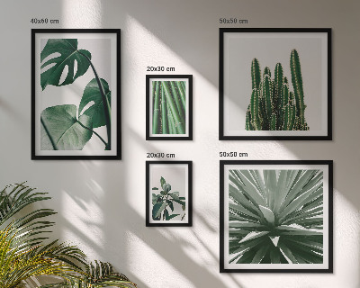 Conjunto de cuadros decorativos plantas tropicales verdes de interior