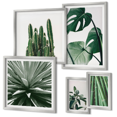 Conjunto de cuadros decorativos plantas tropicales verdes de interior