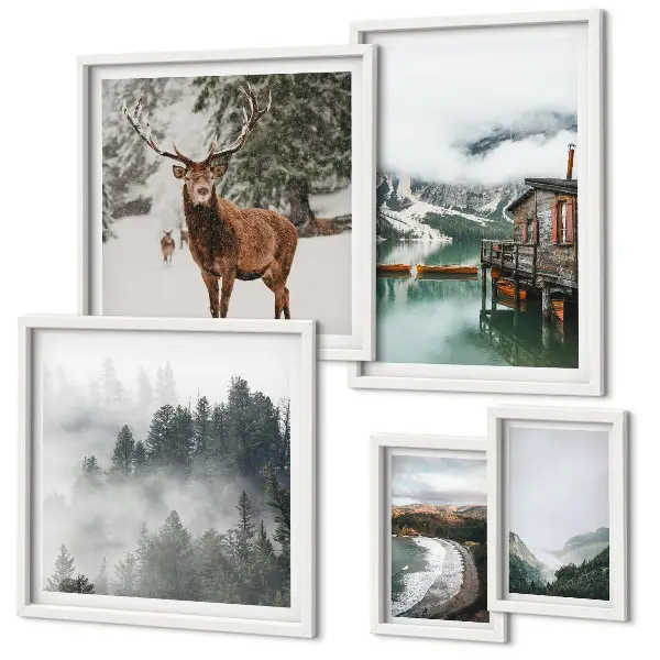 Conjunto de cuadros decorativos de naturaleza con vida silvestre y montañas