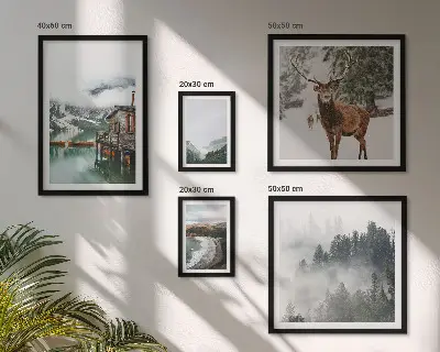 Conjunto de cuadros decorativos de naturaleza con vida silvestre y montañas