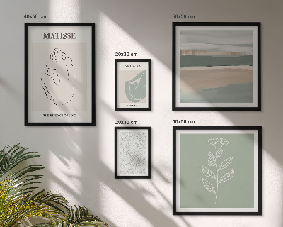 Conjunto de cuadros decorativos Gráficos de plantas con estilo