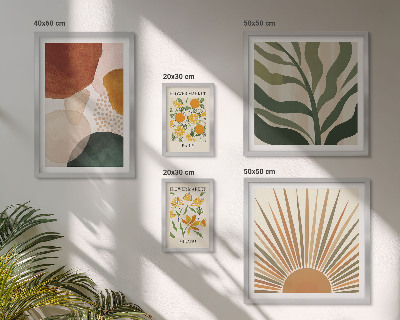 Conjunto de cuadros decorativos Geometría de gráficos de plantas con estilo