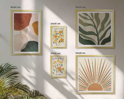 Conjunto de cuadros decorativos Geometría de gráficos de plantas con estilo