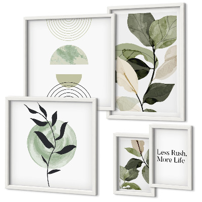Conjunto de cuadros decorativos Gráficos de plantas elegantes para interiores
