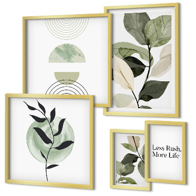 Conjunto de cuadros decorativos Gráficos de plantas elegantes para interiores