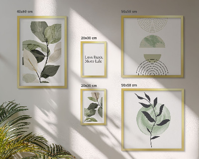 Conjunto de cuadros decorativos Gráficos de plantas elegantes para interiores