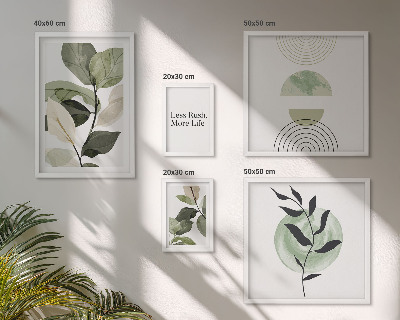 Conjunto de cuadros decorativos Gráficos de plantas elegantes para interiores