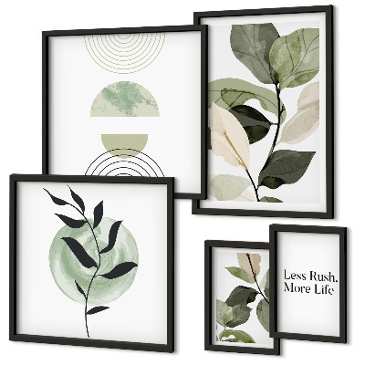 Conjunto de cuadros decorativos Gráficos de plantas elegantes para interiores