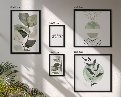 Conjunto de cuadros decorativos Gráficos de plantas elegantes para interiores