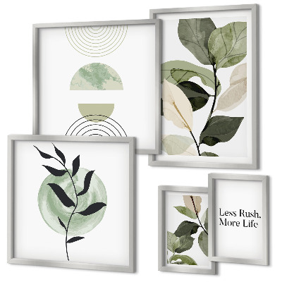 Conjunto de cuadros decorativos Gráficos de plantas elegantes para interiores