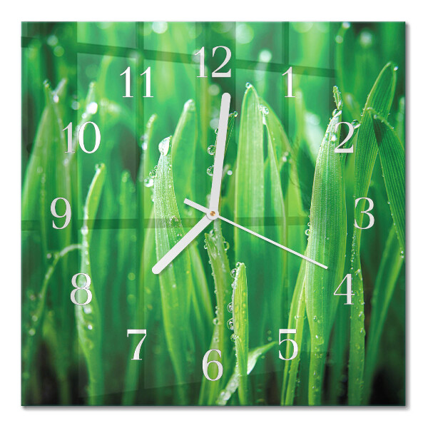 Reloj de vidrio cuadrado Hierba verde