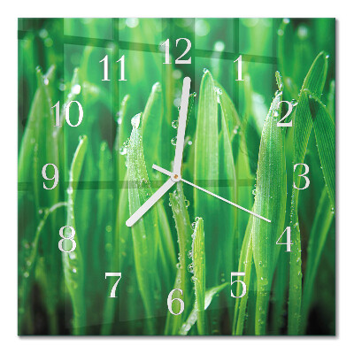 Reloj de vidrio cuadrado Hierba verde