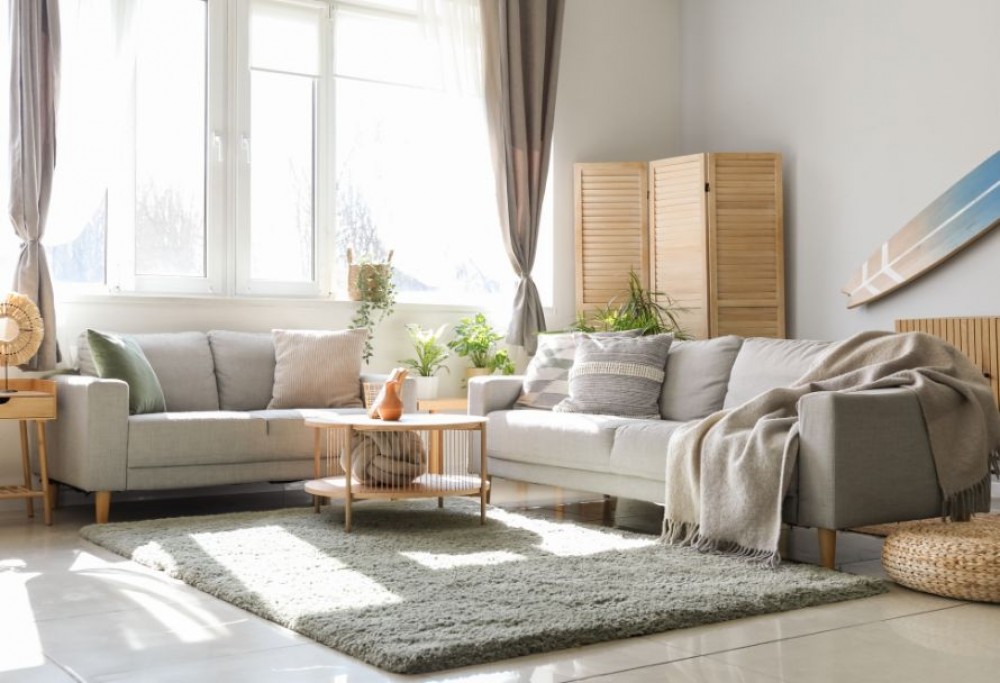 sala de estar en estilo natural