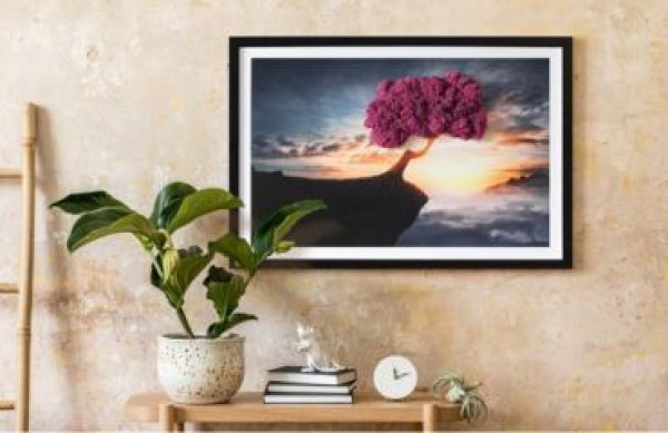 Pinturas de musgo: descubriendo la belleza de la naturaleza