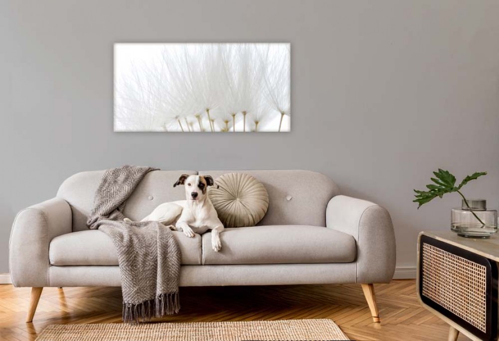 color interior del año 2026