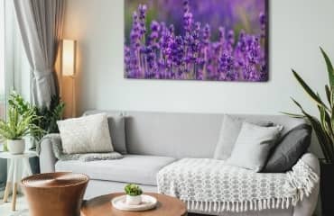 ¡Estamos arreglando una sala de estar en estilo provenzal! Inspiraciones e ideas para un interior rústico