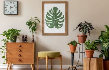 ¿Cómo decorar tu hogar al estilo de la jungla urbana? Urban jungle sin secretos